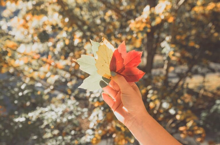 Woman hand holds colourful leaves in autumn. Autumn anxiety. Mindletic Blog