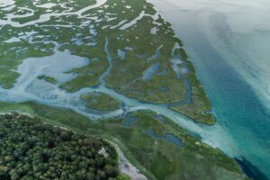 Landscape of sea and islands. The state of flow. How to seek it? Mindletic Blog